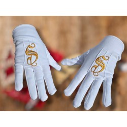 Geborduurde Handschoenen